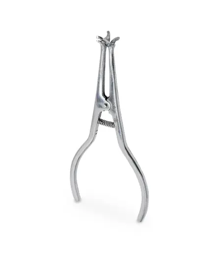 Captura de pantalla 2025-10-20 132208.webp