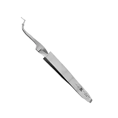 Captura de pantalla 2025-10-22 174601.webp