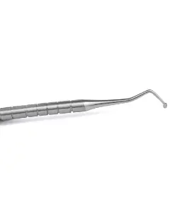 Captura de pantalla 2025-10-23 154552.webp