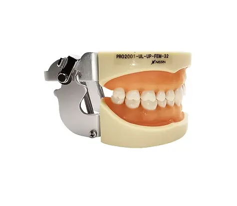 Captura de pantalla 2025-11-07 153745.webp