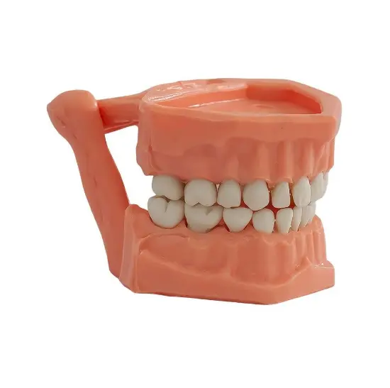 Captura de pantalla 2025-12-29 112401.webp