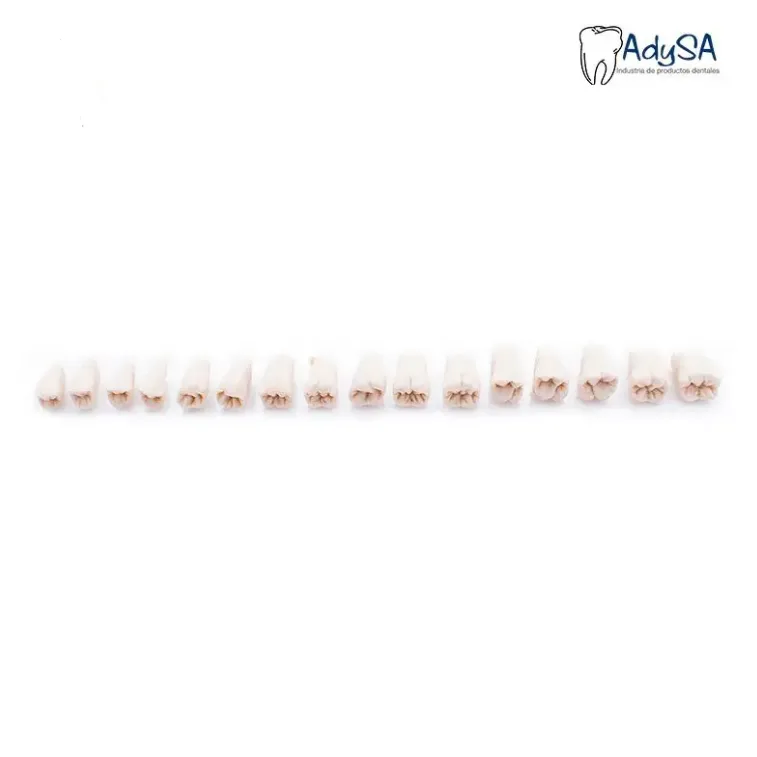 Captura de pantalla 2026-01-23 121616.webp