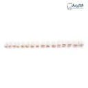 Captura de pantalla 2026-01-23 121616.webp