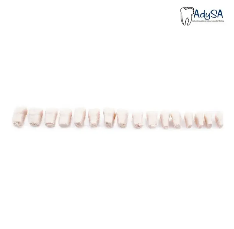 Captura de pantalla 2026-01-23 121559.webp