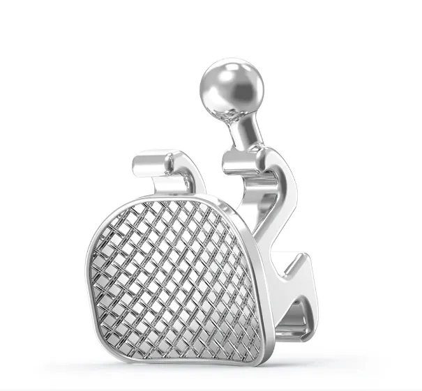 Captura de pantalla 2026-02-21 131614.webp