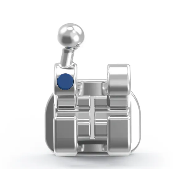 Captura de pantalla 2026-02-21 131510.webp