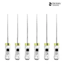 Captura de pantalla 2026-02-27 090031.webp