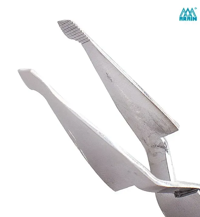 Captura de pantalla 2026-02-27 134644.webp