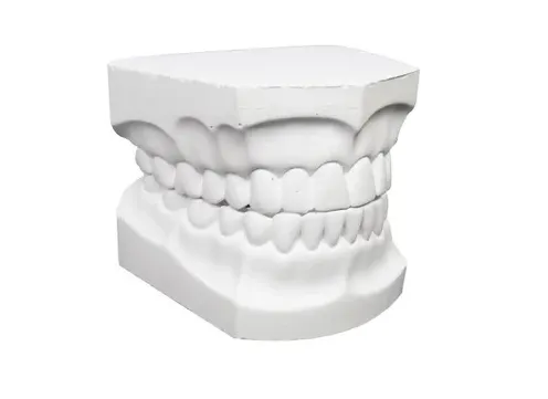 Captura de pantalla 2026-03-03 174041.webp