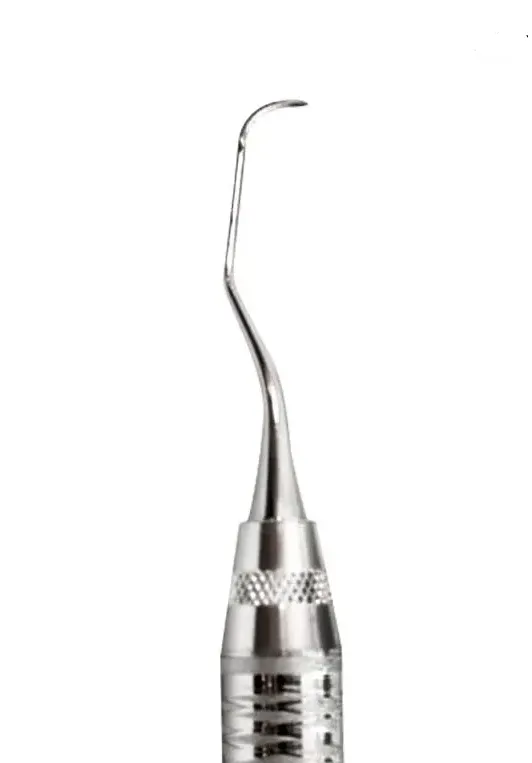 Captura de pantalla 2026-04-08 095607.webp