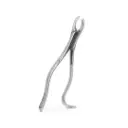 Forceps-adulto-y-especiales-6B-18L-080_1.webp