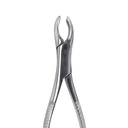 Forceps-adulto-y-especiales-6B-18L-080_2.jpg