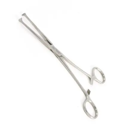 Captura de pantalla 2025-10-16 142245.webp