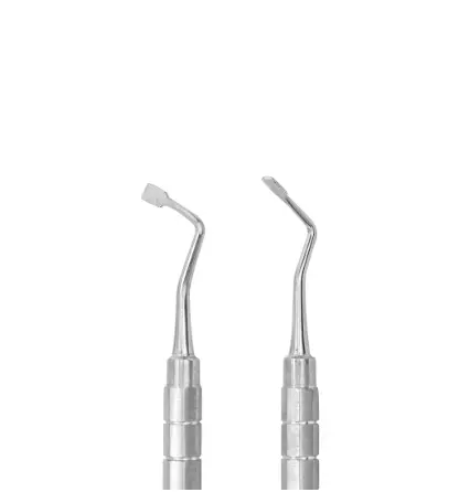 Captura de pantalla 2025-10-16 151558.webp