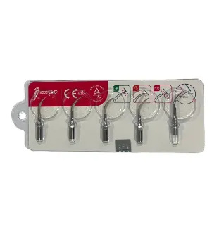 PUNTA DE CAVITRON WOODPECKER CON 6