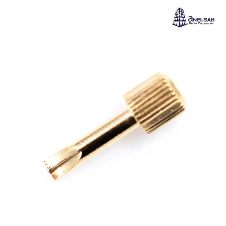 LLAVE PARA PIN DORADO ANELSAM