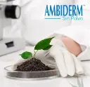 GUANTES LATEX LIBRE DE POLVO AMBIDERM