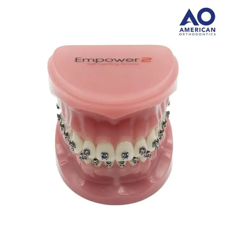 P/E TIPODONTO CON BRACKET EMPOWER