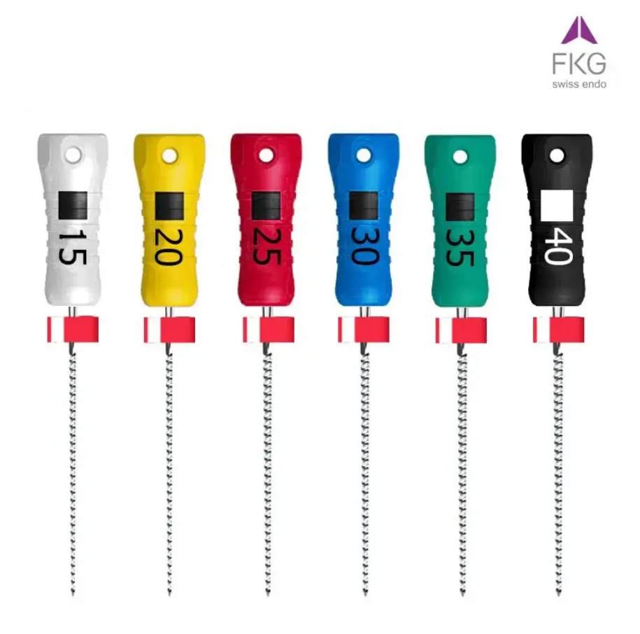 LIMAS K FILE  21 MM FKG (20)