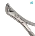 FORCEP ADULTO 151 ANTER/CANINO/PREMO-INF ARAIN
