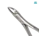 FORCEP #101 PREMOLAR -SUP ARAIN