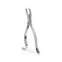FORCEP ADULTO 18R 6B