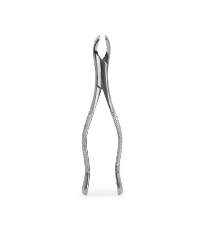 FORCEP ADULTO 17 6B 