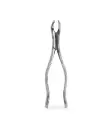FORCEP ADULTO 17 6B 