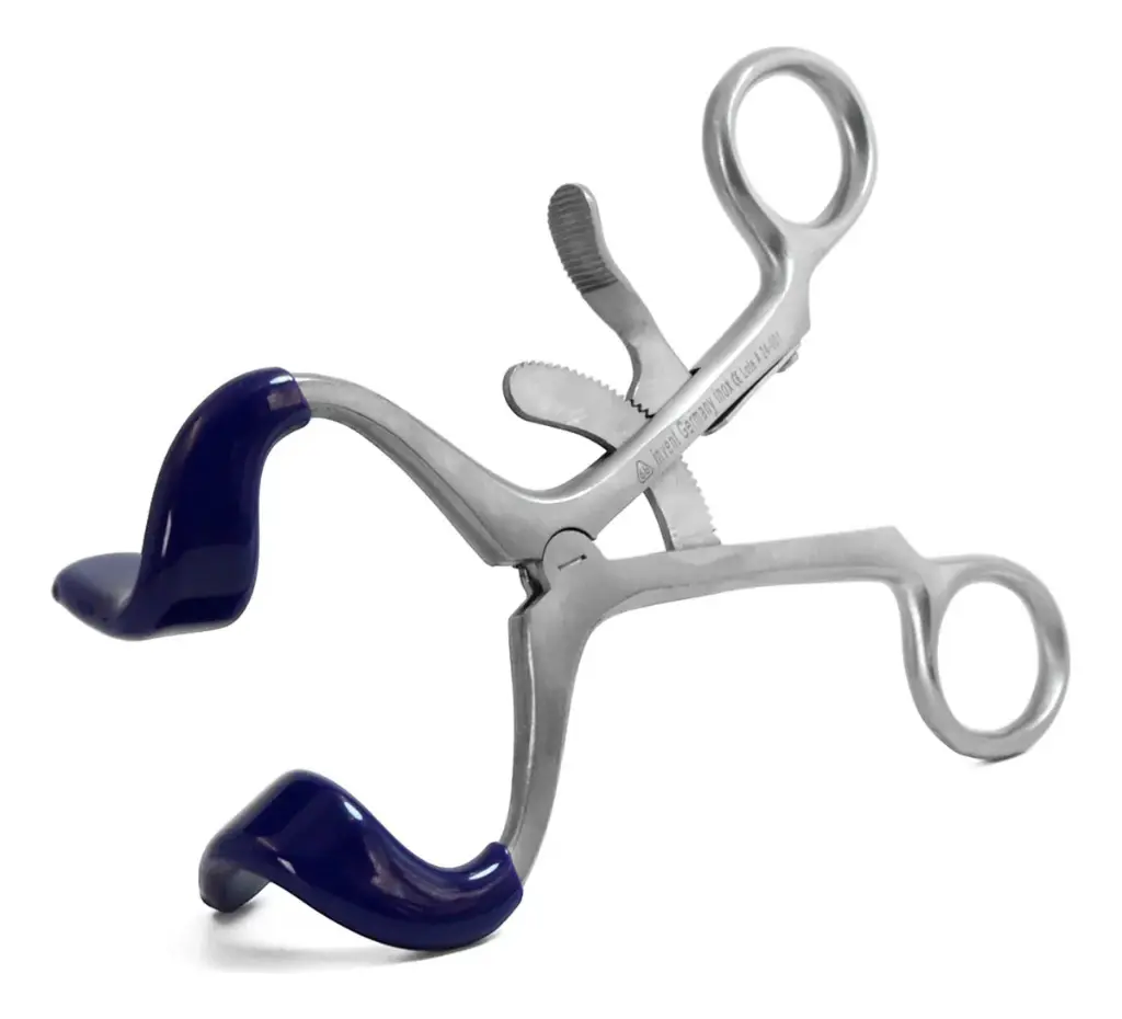 ABREBOCAS MOLT ADULTO 6B