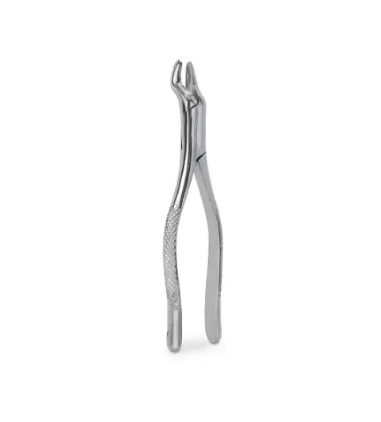 FORCEP ADULTO 53L 6B