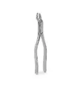 FORCEP ADULTO 53L 6B