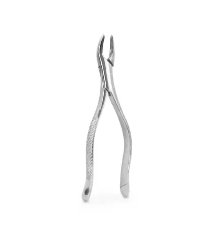 FORCEP ADULTO 150 6B