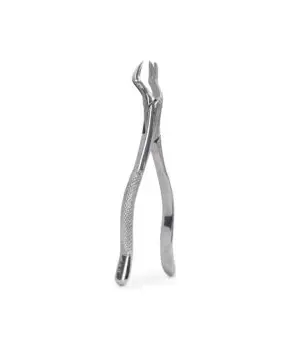 FORCEP ADULTO 151 6B 