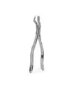 FORCEP ADULTO 151 6B 