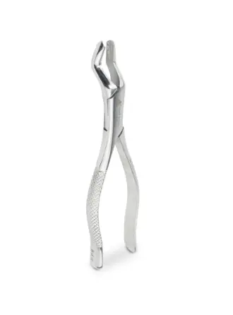 FORCEP ADULTO 53R 6B 