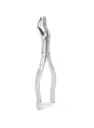 FORCEP ADULTO 53R 6B 085