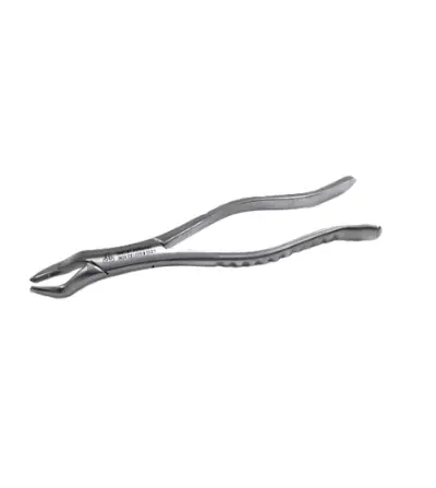 [6B 097] FORCEP ADULTO 210S 6B 