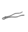 FORCEP ADULTO 210S 6B 