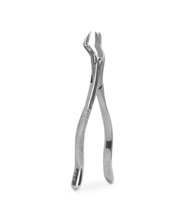 FORCEP ADULTO 88R 6B