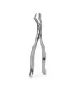 FORCEP ADULTO 88R 6B