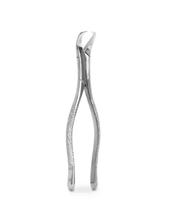 FORCEP ADULTO 23 6B
