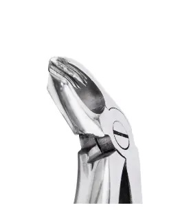 FORCEP 566 TIPO INGLES 6B 