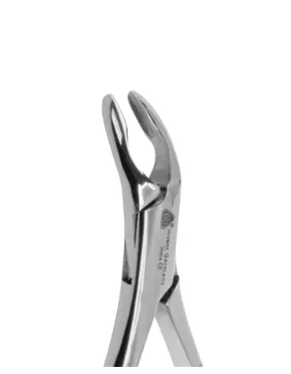 FORCEP ADULTO 203 6B 
