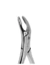 FORCEP ADULTO 203 6B 
