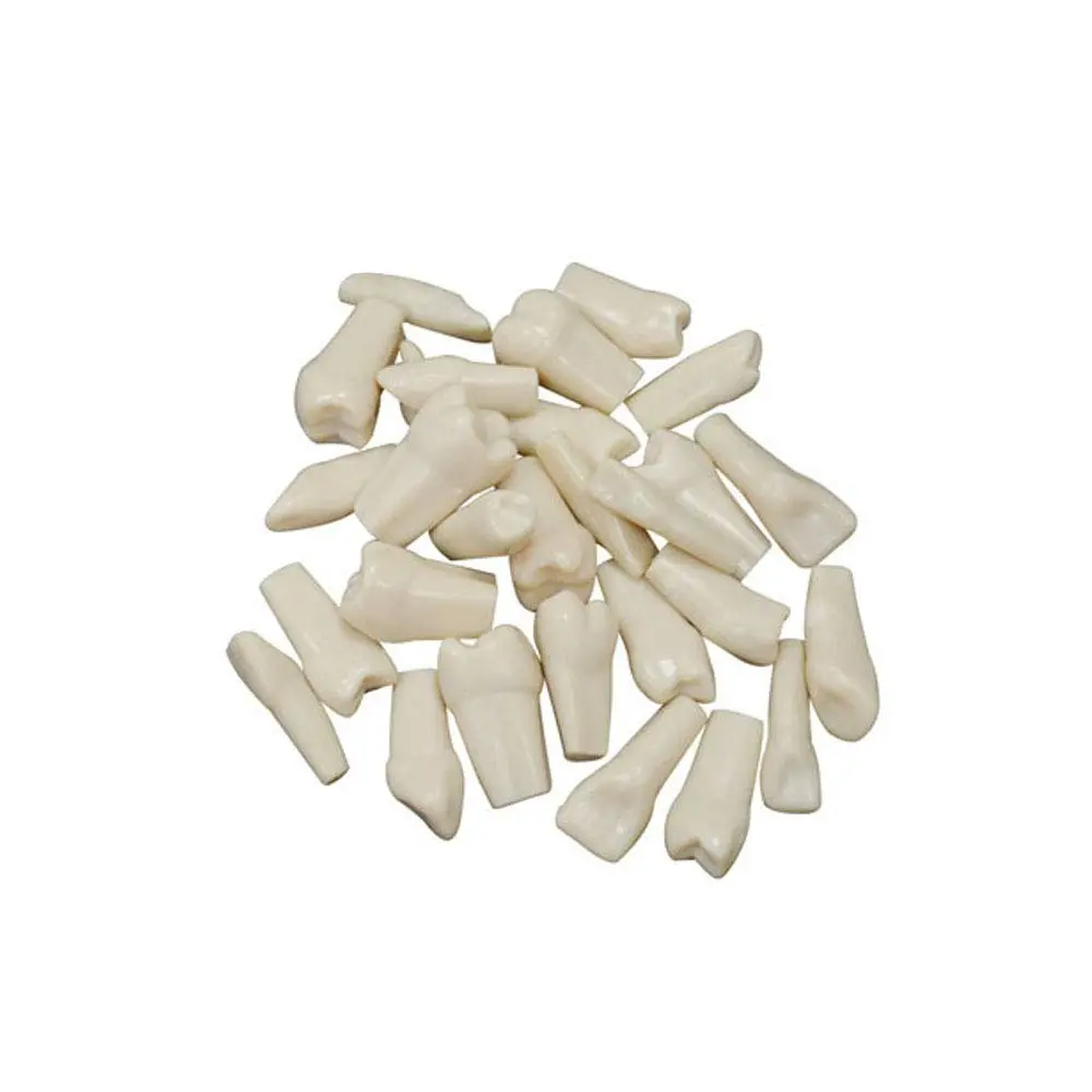 JGO DE DIENTES NISSIN ORIGINAL ADULTO  VAMASA