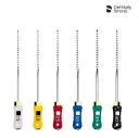 LIMA K-FLEXOFILE READYSTEEL NO 15-40 31 MM DENTSPLY