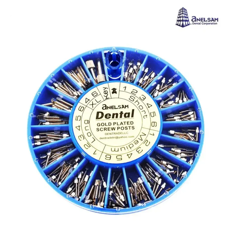 PINS DORADOS ESTUCHE CON 240 ANELSAM