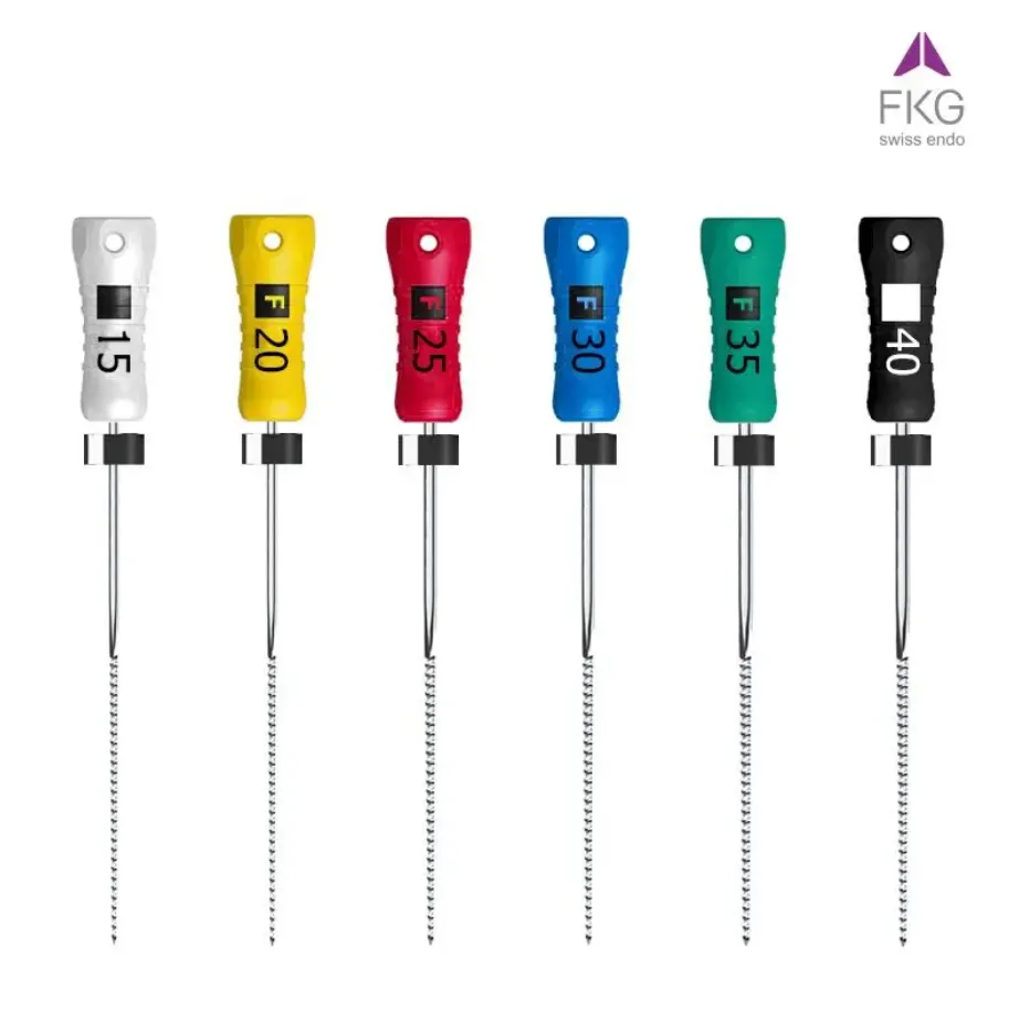 LIMAS K-FILE EN 31 MM FKG (10)