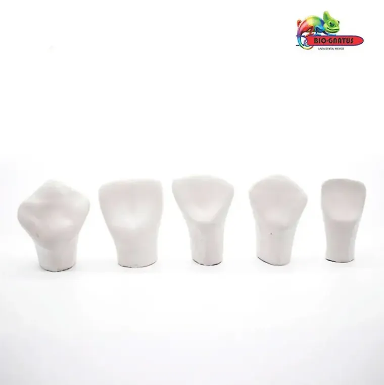 BOLSA DE MACROMODELOS