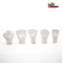 BOLSA DE MACROMODELOS
